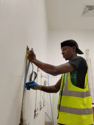 Mr Taiwo Adedeji