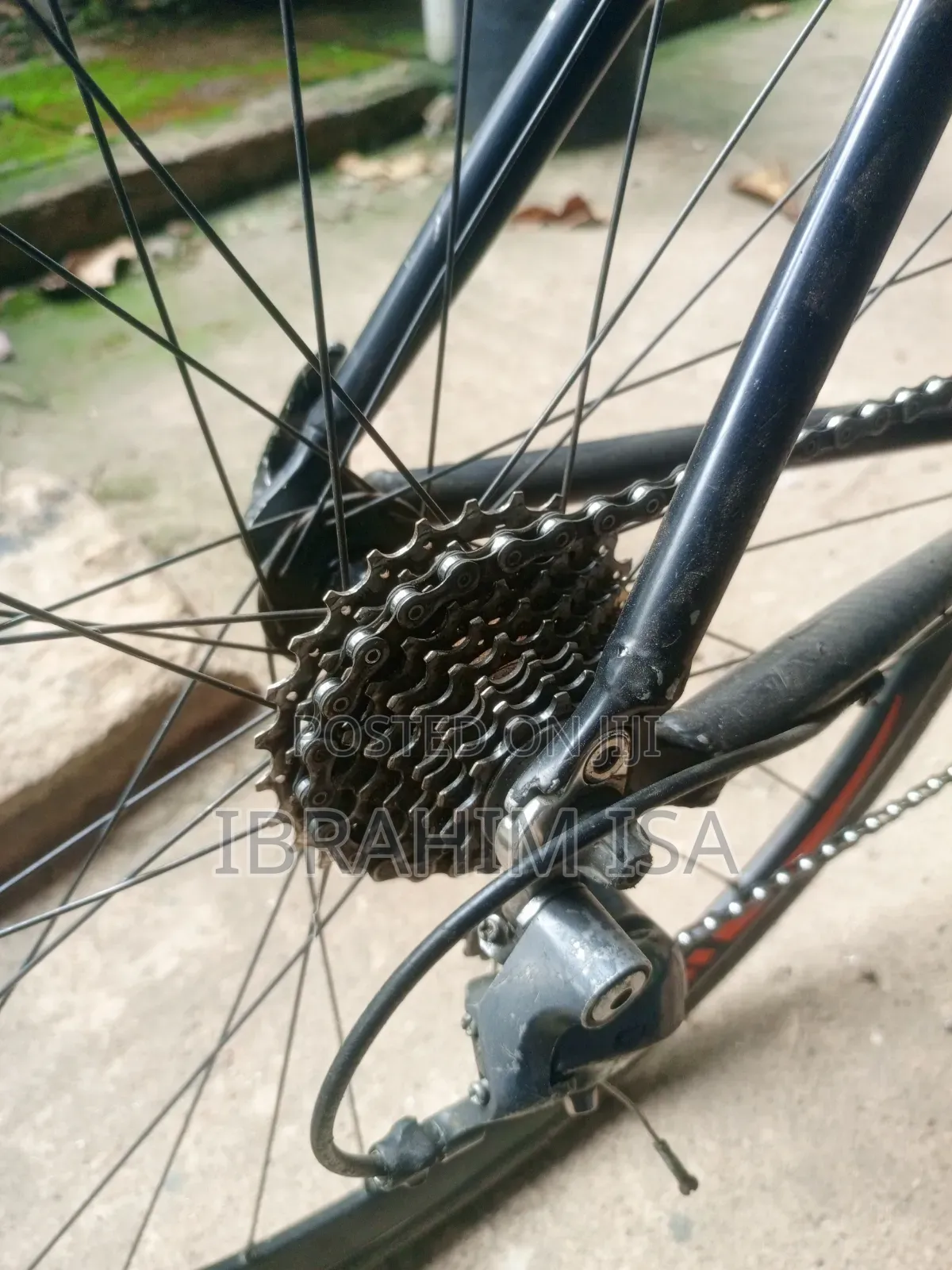 Road Race Bicycle