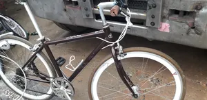 Adult Bicycle for Adult and for Dispatch Riders