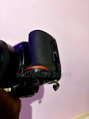 Nikon D500