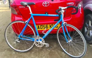 Adult Bicycle Available as Seen
