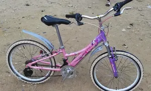 Adult Bicycle Available as Seen