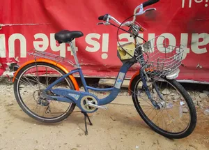 Adult Bicycle Available as Seen
