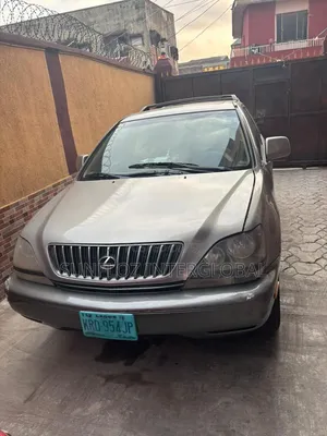 Lexus RX 2000 Gray