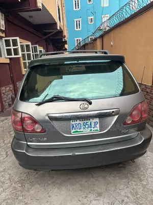 Lexus RX 2000 Gray