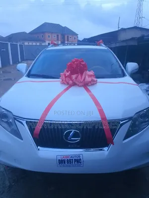 Car Bow Decoration