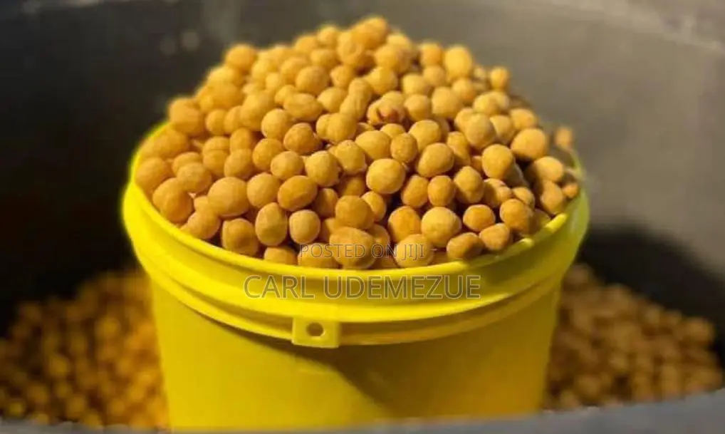 Custard Rubber Peanut