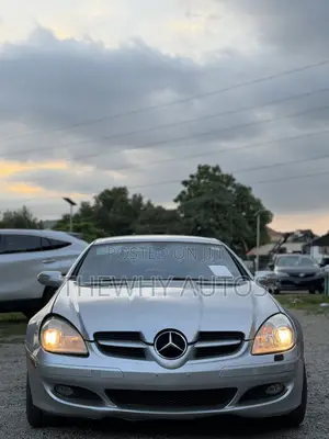 Mercedes-Benz SLK-Class 2005 Silver
