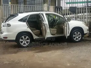 Lexus RX 2009 White