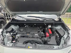 Toyota RAV4 XLE 2022 Green