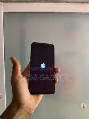 Apple iPhone 11 Pro Max 256 GB Black