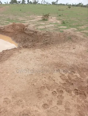 500 SQM Estate Land at Apo