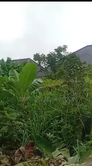 50x100sqm:Land for Sale at Atali New Layout Port Harcourt.