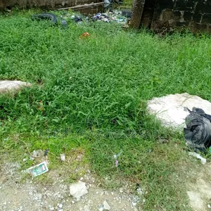 Distress Sale Half Plot a Call Access Code Estate Badore Ajah Lekki
