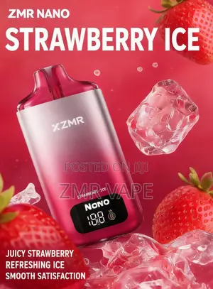ZMR Nano Rechargeable Disposable Icy Vape With Screen