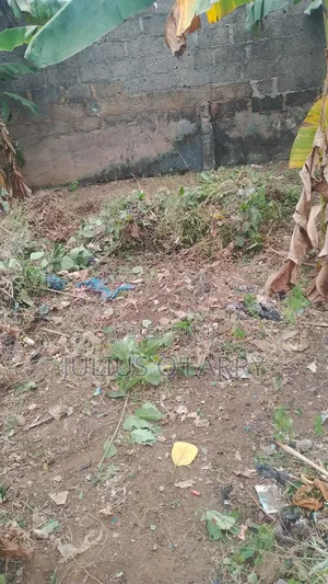 40x120ft Plain Land at Fatoki Ishuti Road