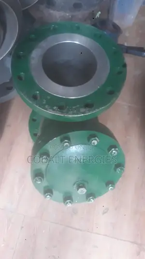 6*300 Strainer Valve