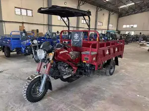 300cc 5 Tyres Single And Double Lifting Tricycle Truck - Keke Truck