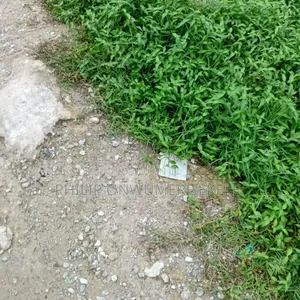 Distress Sale Full Plot,Dry Fenced,Badore Ajah Lekki