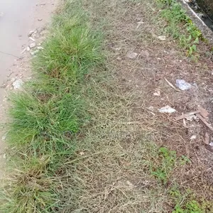 Distress Sale Full Plot,Dry Fenced,Badore Ajah Lekki