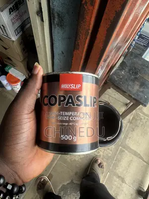Molyslip Copaslip