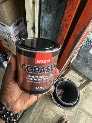 Molyslip Copaslip
