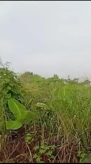 50x100sqm: Land for Sale at Nneyi Umueri.