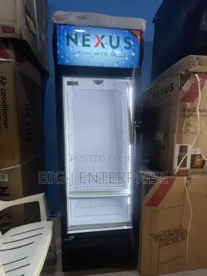 Nexus 315 Liters Standing Showcase/Chiller