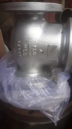 4*150 Stainless Check Valve