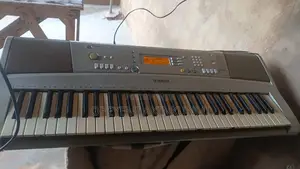 Yamaha PSR E303 and Yamaha DGX 220