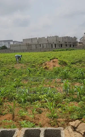A Plot of Land