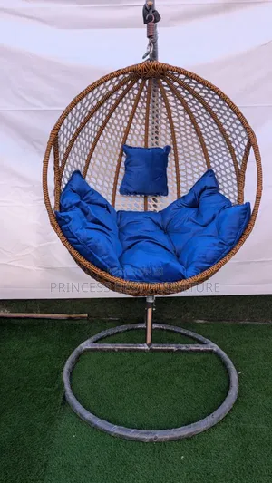 Blue Cushion Swing Chair