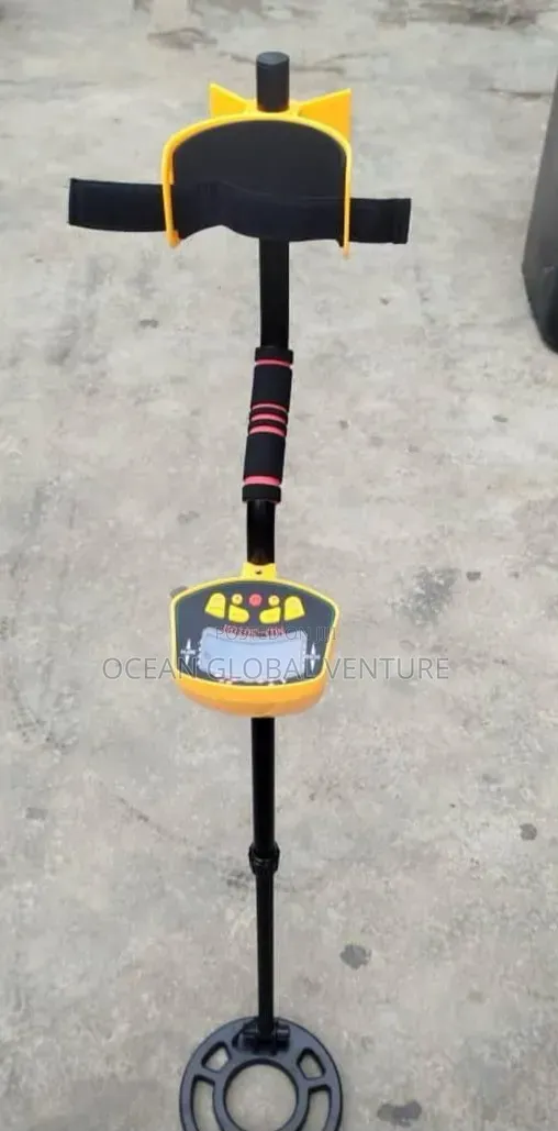 Metal/Gold Detector
