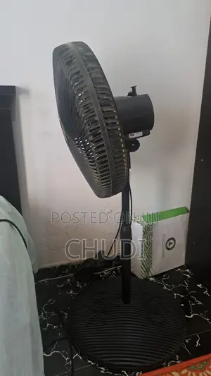 Ox Standing Fan