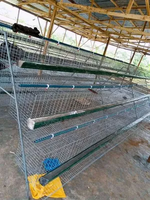 Happiness Poultry Equipments