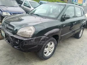 Hyundai Tucson 2007 Blue