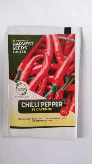 Chili Pepper, Cayenne F1