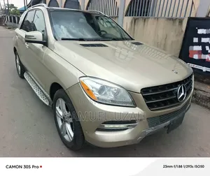 Mercedes-Benz M Class 2013 Gold