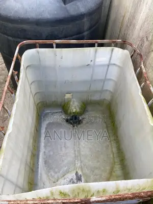 Ibc Tank or Fish Tank