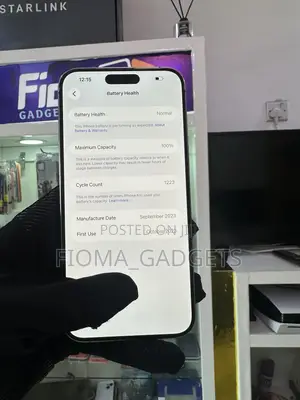 Apple iPhone 15 Pro Max 256 GB Silver