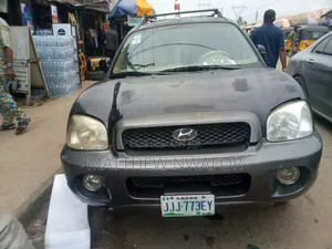 Hyundai Santa Fe 2004 Black