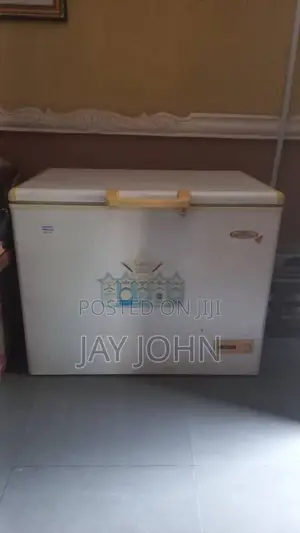 Thermocool Chest Deep Freezer