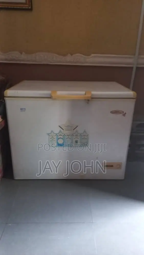 Thermocool Chest Deep Freezer
