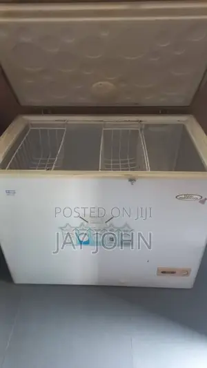 Thermocool Chest Deep Freezer