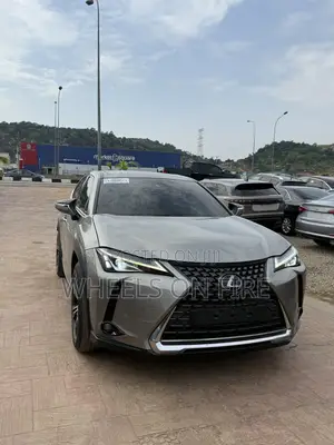 Lexus UX 250h 2021 Brown