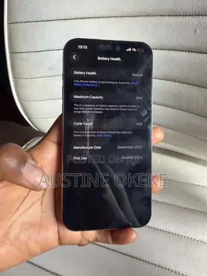 Apple iPhone 15 Pro Max 512 GB Silver