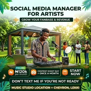 Social Media Manager for Artists