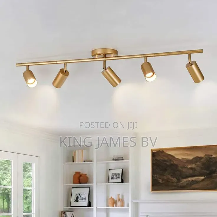 Luxurious Golden Track Light