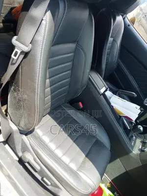 Ford Mustang 2010 Black
