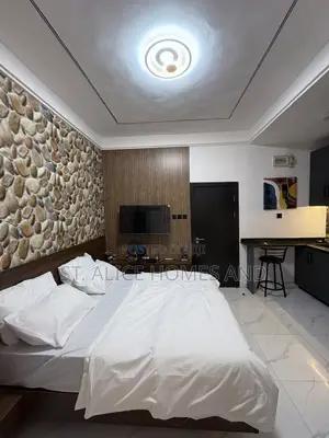 1 Bedroom Studio Apartment In Idi-araba, Lawanson, Surulere, Lagos